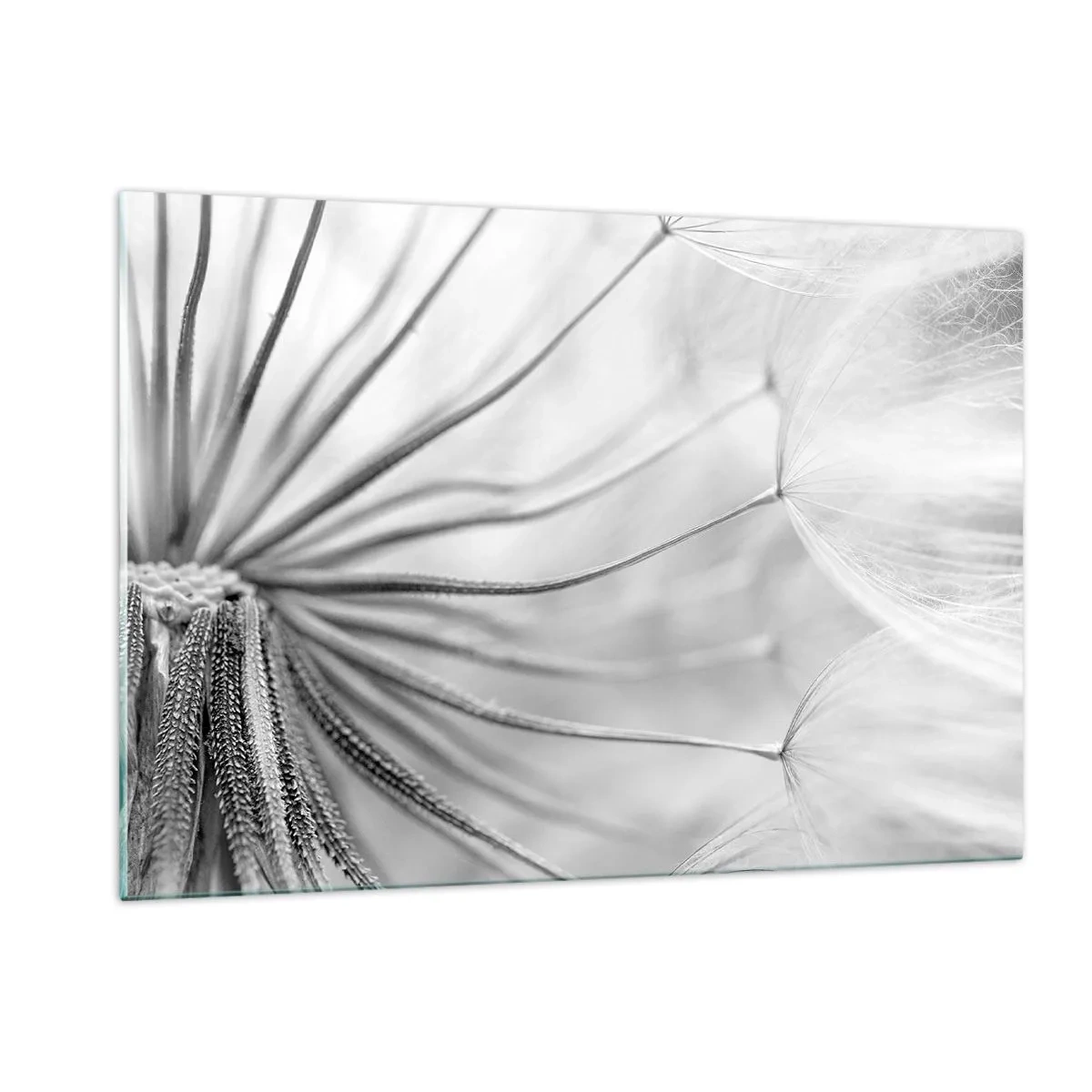 Glasbild - Bild auf glas - Makrofotografie eines Löwenzahns in Schwarz-Weiß-Tönen - 120x80cm - Löwenzahn, Drachen - Moderne Wanddekoration für Wohnzimmer und Schlafzimmer ARTTOR