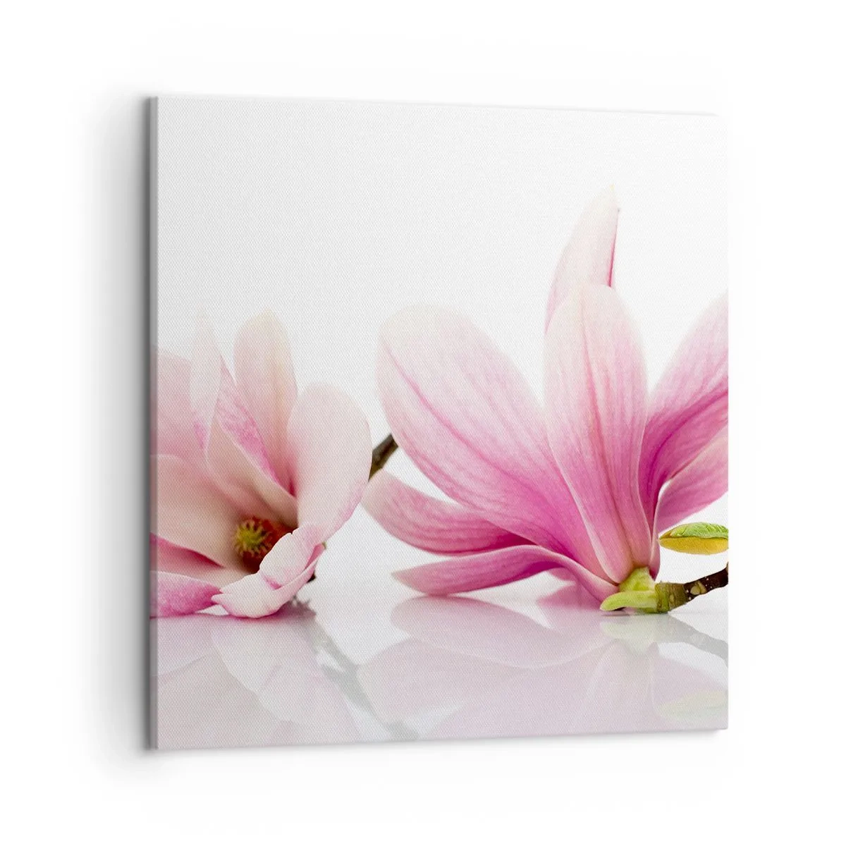 Bild auf Leinwand - Leinwandbild - Zart wie ein Frühlingswind - 50x50 cm