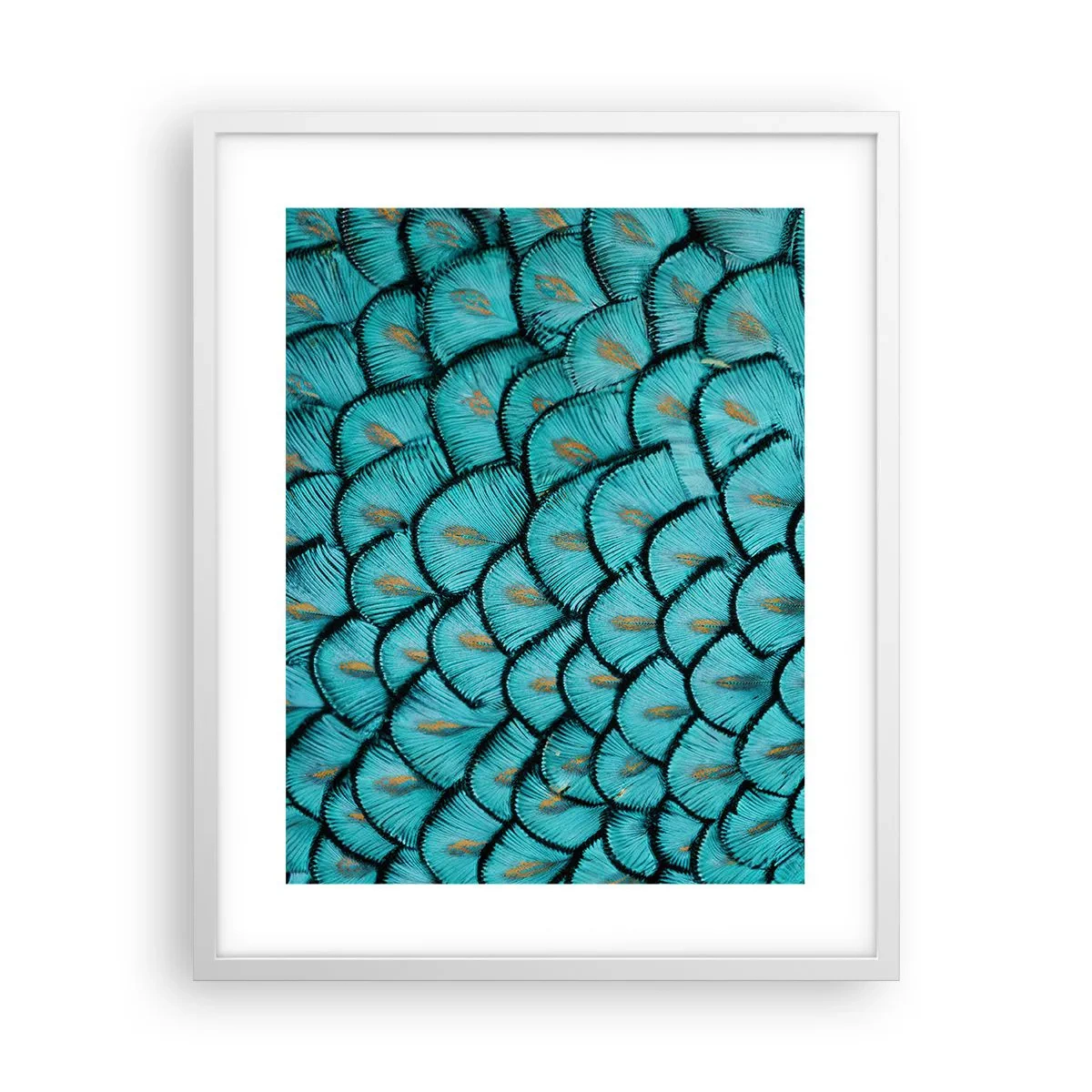 Poster in einem weißen Rahmen - Große Federgala - 40x50 cm