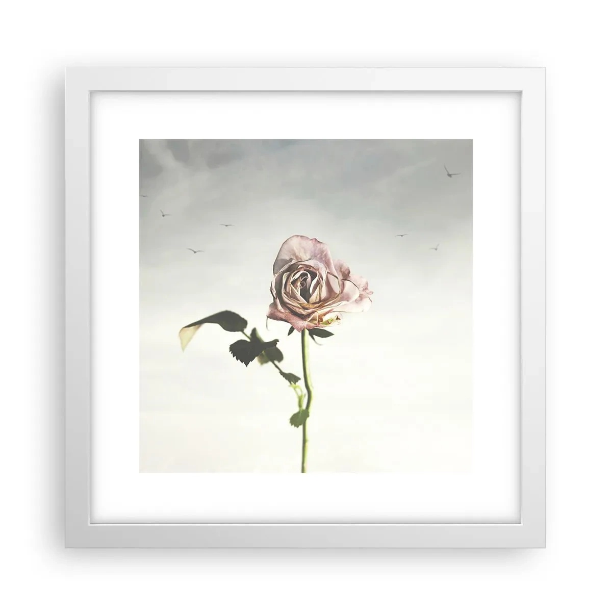 Poster in einem weißen Rahmen - Begrüßung des Frühlings - 30x30 cm