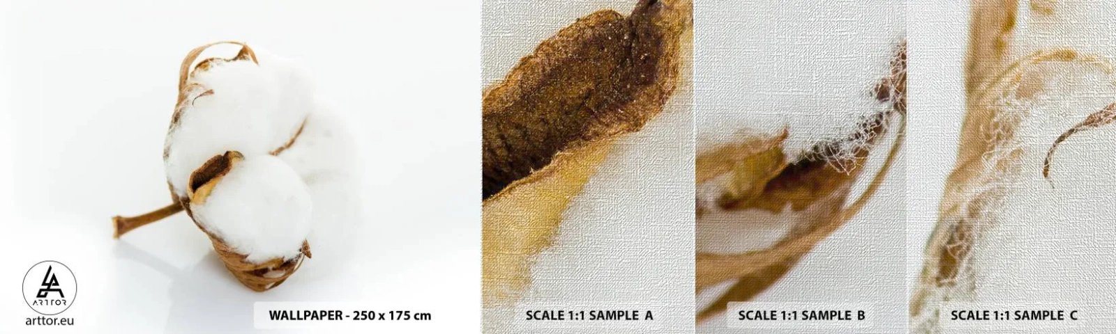 Fototapeten Muster Premium Canvas - Von Natur aus weich - Baumwolle, Minimalistisch, Blume - 100x30 cm