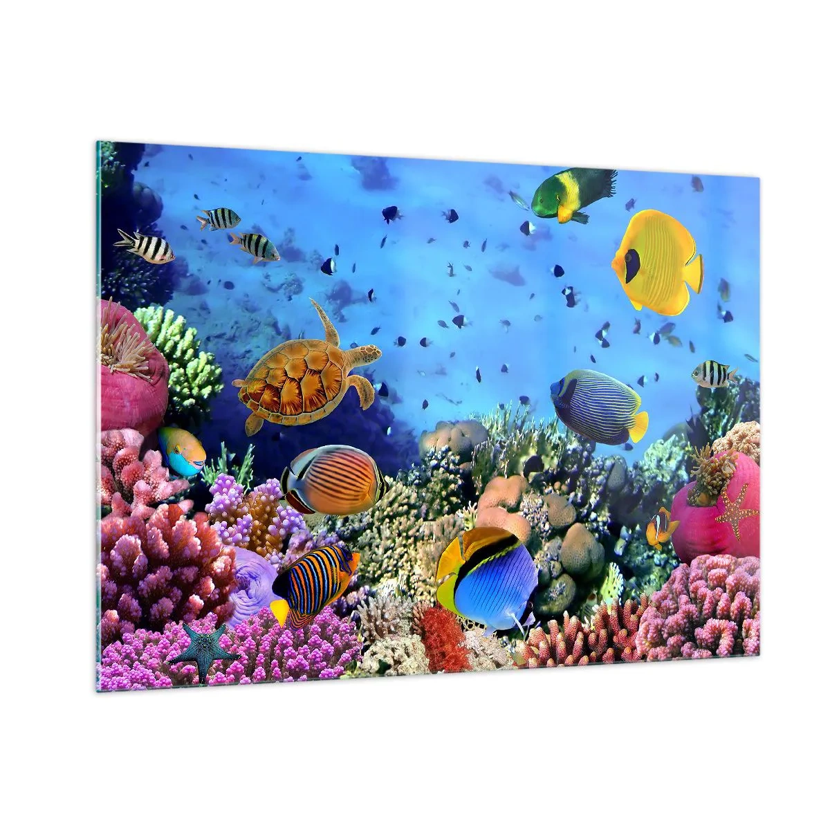 Glasbild - Bild auf glas - Bunte Fische und eine Meeresschildkröte vor einem Korallenriff - 100x70cm - Und was wissen wir über das Leben ... - Moderne Wanddekoration für Wohnzimmer und Schlafzimmer ARTTOR
