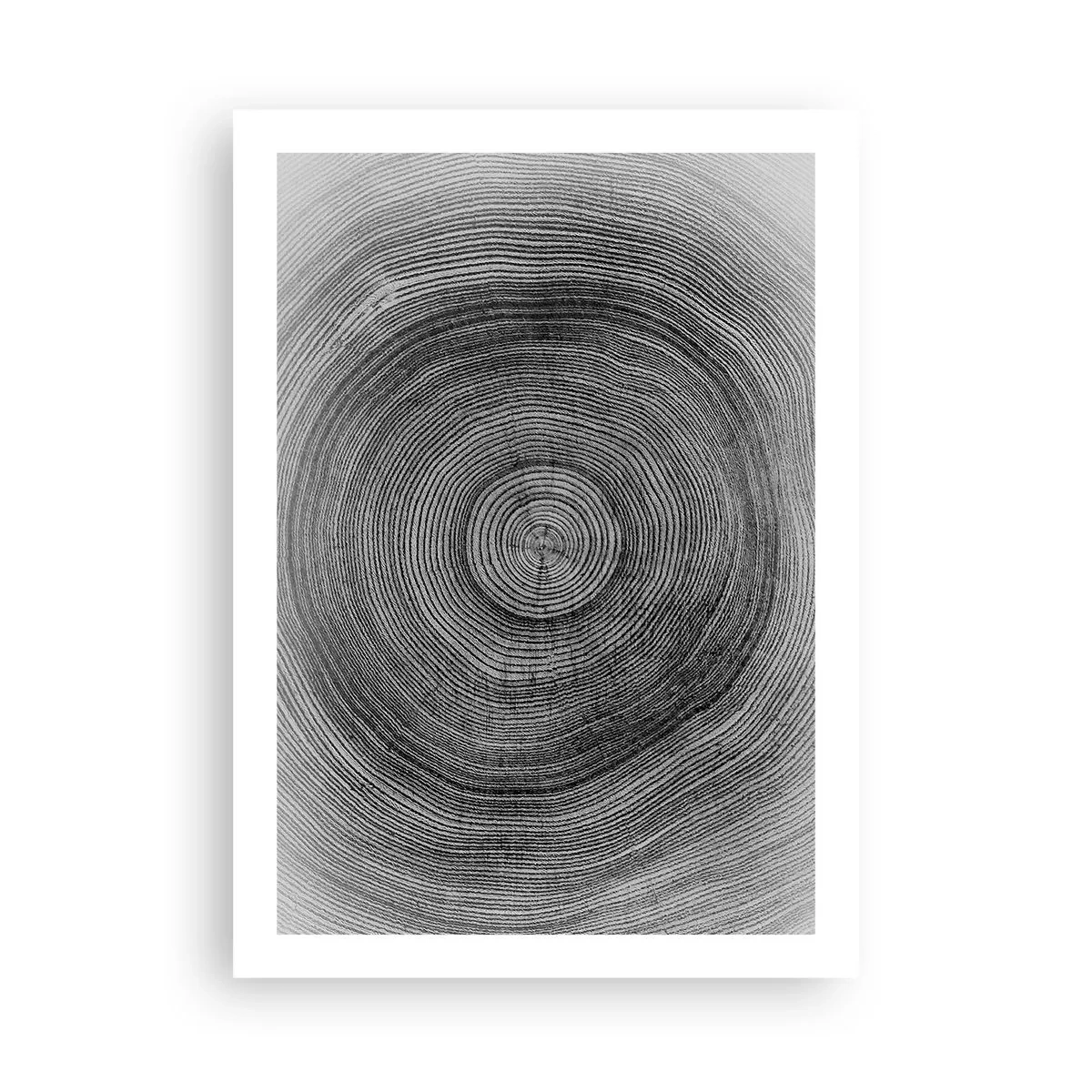 Poster - Schwarz-Weiß-Grafik, die einen Querschnitt eines Baumstamms zeigt - 50x70cm - Zeichen der Zeit - Moderne Wanddekoration für Wohnzimmer und Schlafzimmer ARTTOR