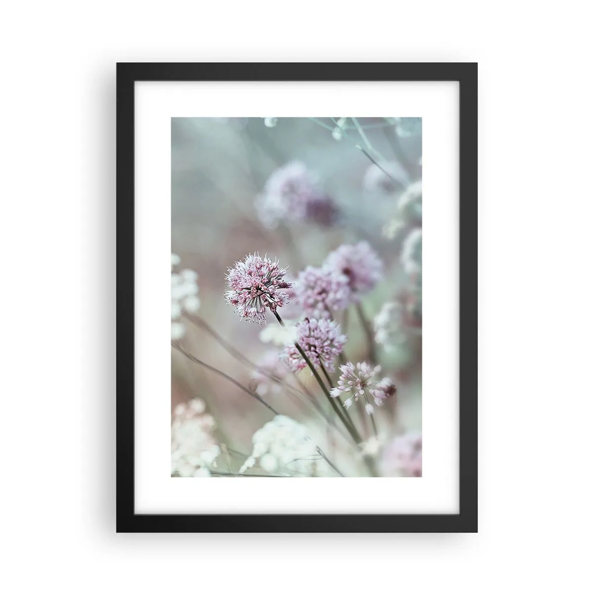 Poster in einem schwarzem Rahmen - Süße filigrane Kräuter - 30x40 cm