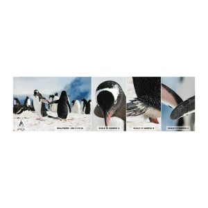 Fototapeten Muster Selbstklebend Deluxe Sticker - Tanzen im Schnee - Pinguin, Antarktis, Landschaft - 100x30 cm