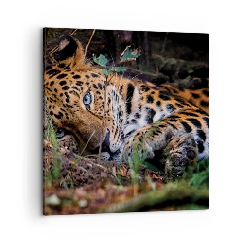 Bild auf Leinwand - Leinwandbild - Vertrau mir - 50x50 cm