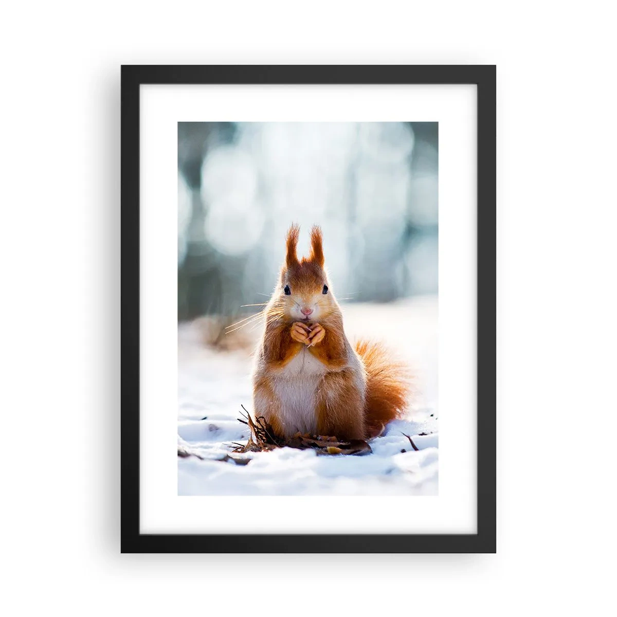 Poster in einem schwarzem Rahmen - Wo schaust du hin? - 30x40 cm