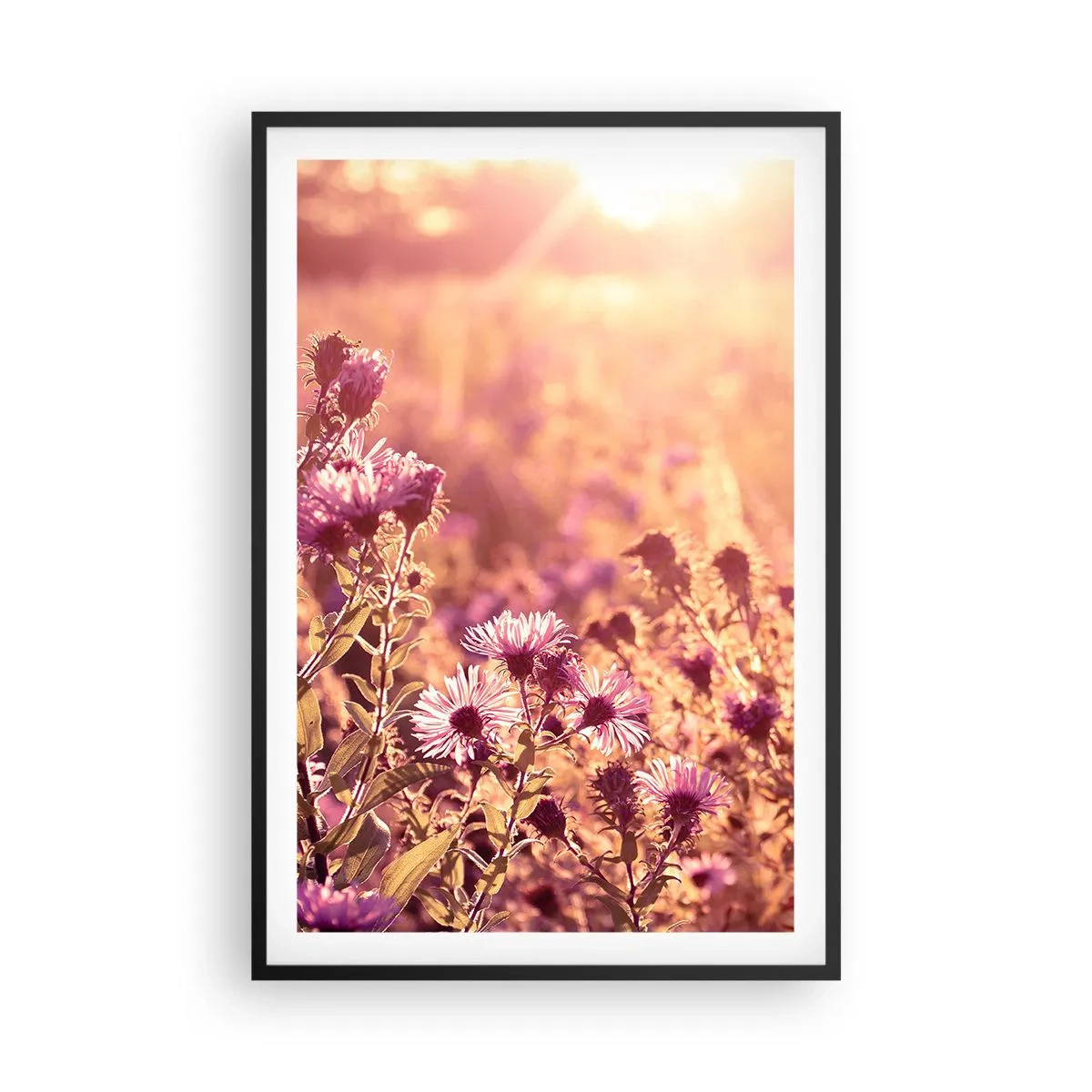 Poster in einem schwarzem Rahmen - Bevor der Sommer vorbei ist - 61x91 cm