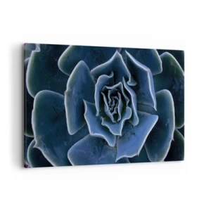 Bild auf Leinwand - Leinwandbild - Nahaufnahme einer grünen Sukkulentenrosette - 120x80cm - Wüstenblume - Moderne Wanddekoration für Wohnzimmer und Schlafzimmer ARTTOR