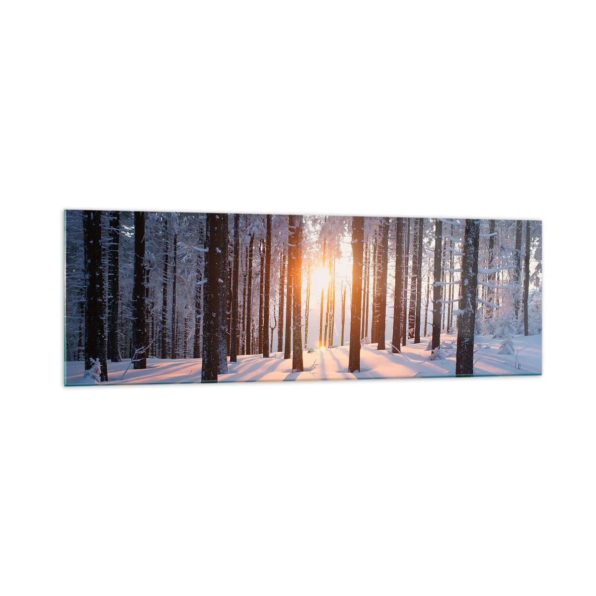 Glasbild - Bild auf glas - Winterwald, beleuchtet von den Sonnenstrahlen - 160x50cm - Ganz klar schwarz auf weiß - Moderne Wanddekoration für Wohnzimmer und Schlafzimmer ARTTOR