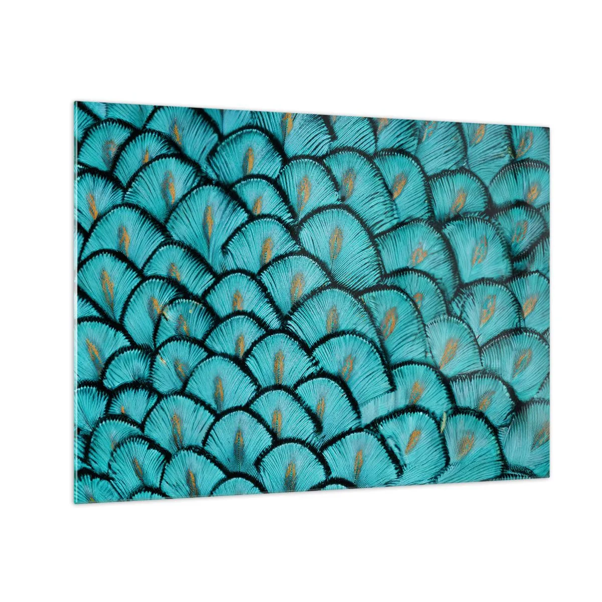 Glasbild - Bild auf glas - Eine Nahaufnahme von türkisfarbenen Pfauenfedern, die ein dekoratives Muster bilden. - 70x50cm - Große Federgala - Moderne Wanddekoration für Wohnzimmer und Schlafzimmer ARTTOR