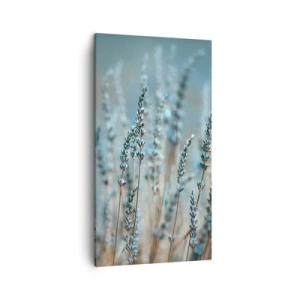 Bild auf Leinwand - Leinwandbild - Duftendes Kornfeld - 45x80 cm