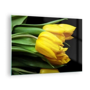 Glasbild - Bild auf glas - Gelbe Tulpen auf schwarzem Hintergrund in einer eleganten Aufnahme - 70x50cm - Aus klarer Sonne entstanden - Moderne Wanddekoration für Wohnzimmer und Schlafzimmer ARTTOR