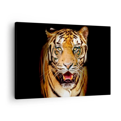 Bild auf Leinwand - Leinwandbild - Ein Tiger mit offenem Maul auf schwarzem Hintergrund - 70x50cm - Wild im Herzen - Moderne Wanddekoration für Wohnzimmer und Schlafzimmer ARTTOR