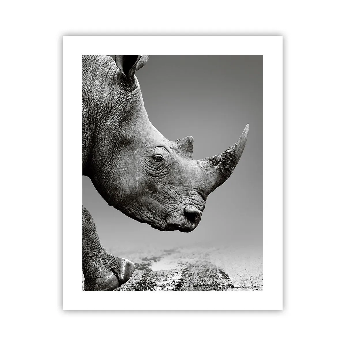 Poster - Unaufhaltsame Stärke - 40x50 cm