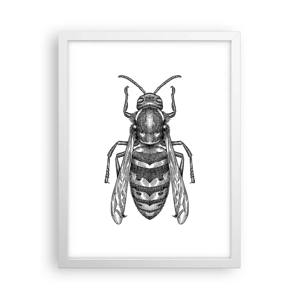 Poster in einem weißen Rahmen - Von einem Insektenplaneten - 30x40 cm