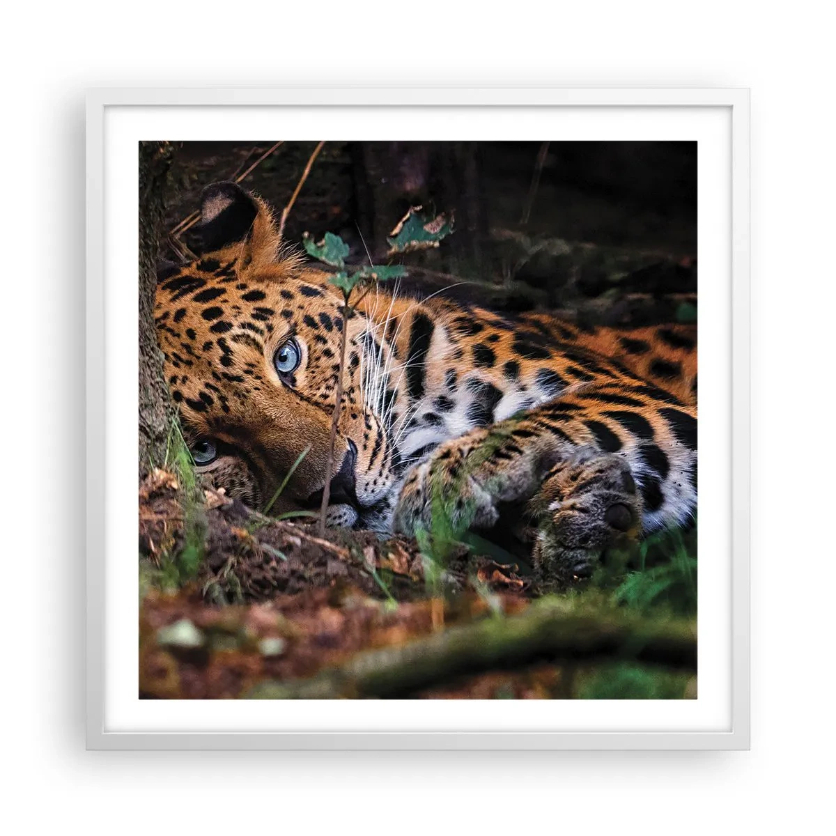 Poster in einem weißen Rahmen - Vertrau mir - 60x60 cm