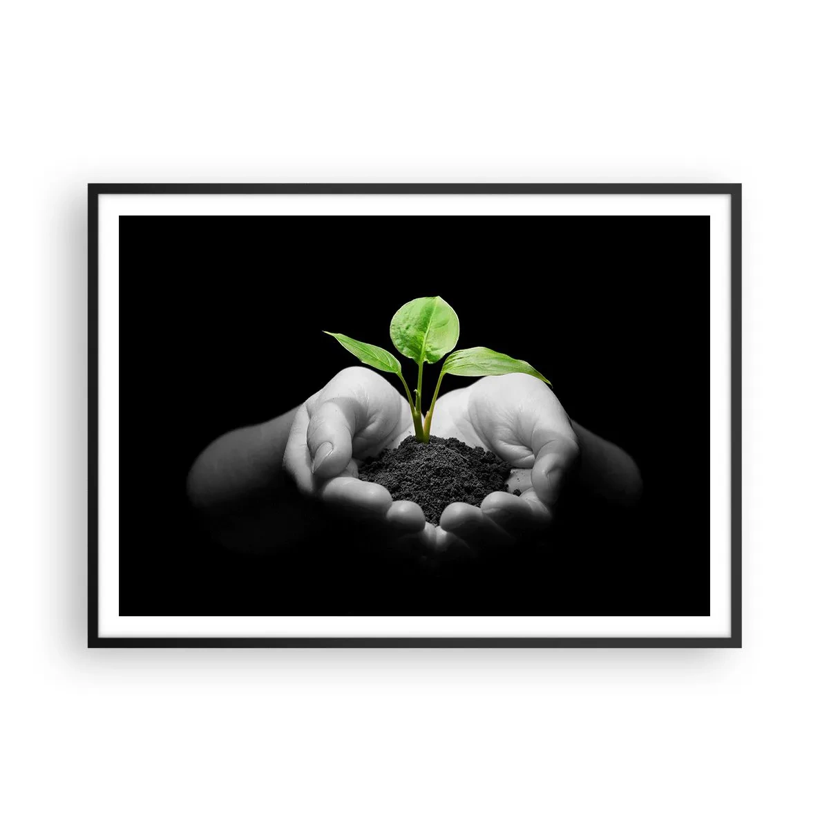 Poster in einem schwarzem Rahmen - Hände halten eine grüne Pflanze auf schwarzem Hintergrund - 100x70cm - Ich liebe die Natur, ich beschütze sie - Moderne Wanddekoration für Wohnzimmer und Schlafzimmer ARTTOR