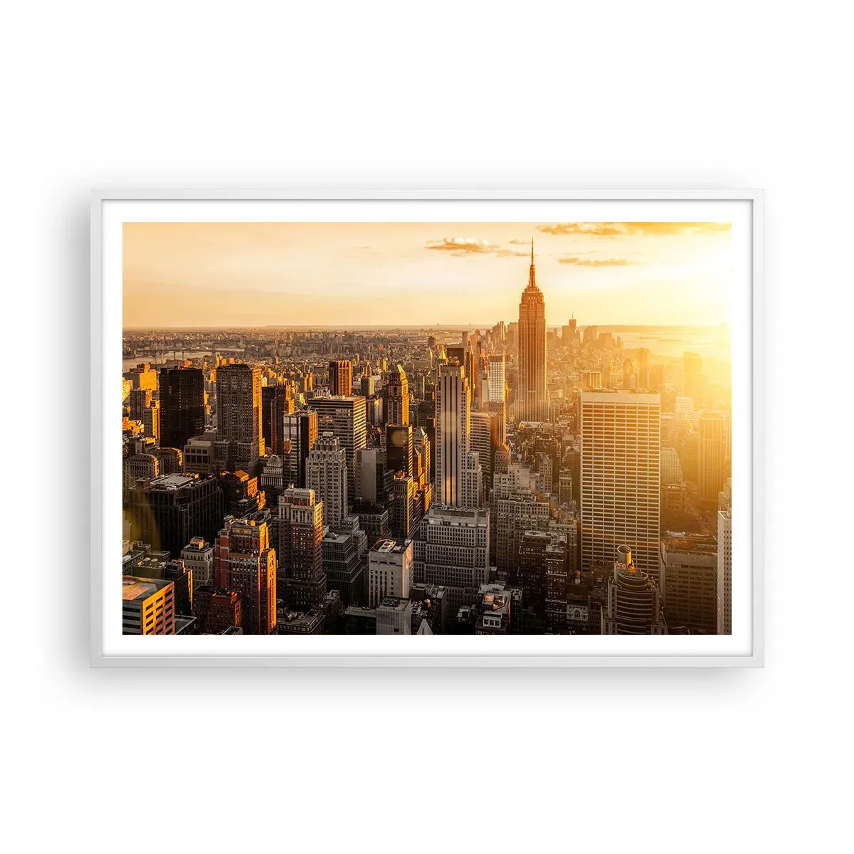 Poster in einem weißen Rahmen - In der Sonne wachsen - 100x70 cm