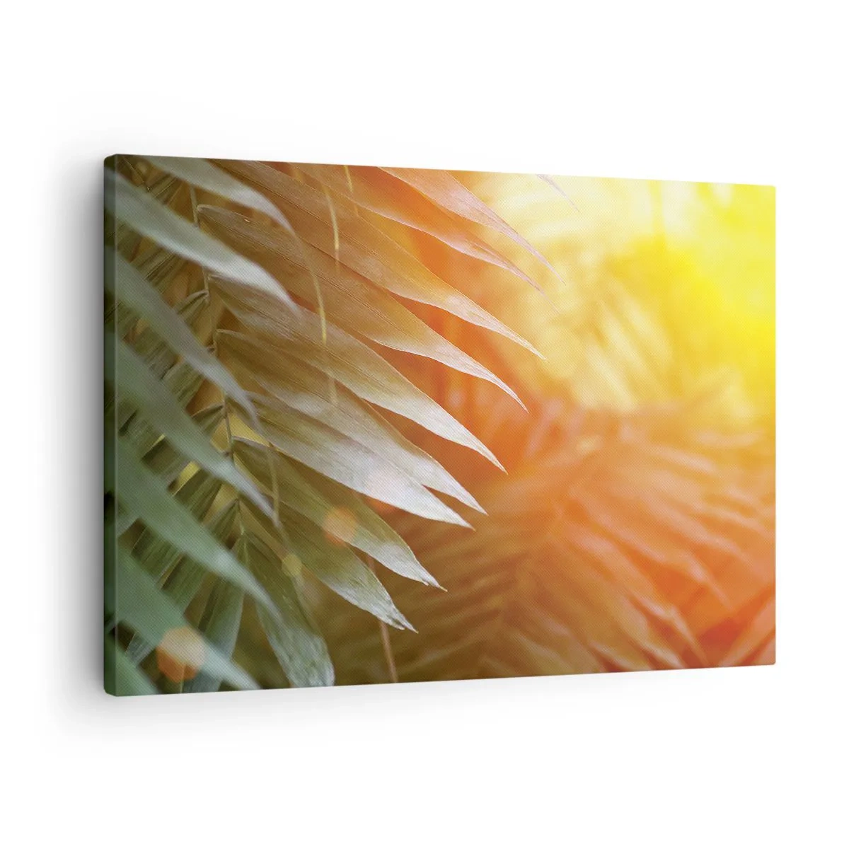 Bild auf Leinwand - Leinwandbild - Palmblätter in den Strahlen des Sonnenuntergangs - 70x50cm - Morgen im Dschungel - Moderne Wanddekoration für Wohnzimmer und Schlafzimmer ARTTOR