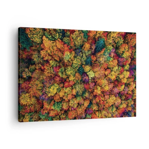 Bild auf Leinwand - Leinwandbild - Bunte Baumkronen in der Herbstpalette - 70x50cm - Blumenstrauß aus Herbstbäumen - Moderne Wanddekoration für Wohnzimmer und Schlafzimmer ARTTOR