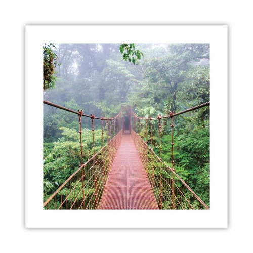 Poster - Über den Kronen aufgehängt - 40x40 cm