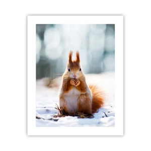 Poster - Wo schaust du hin? - 40x50 cm