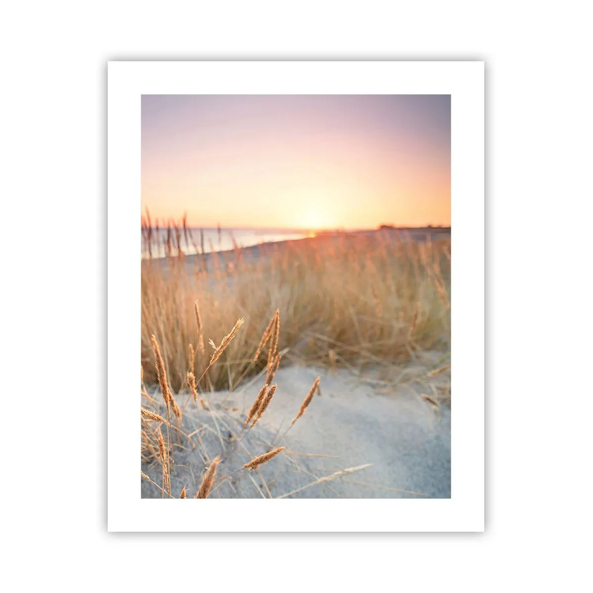 Poster - Das baltische Wiegenlied - 40x50 cm