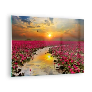 Glasbild - Bild auf glas - Rosa Seerosen auf einem See bei Sonnenuntergang - 70x50cm - Das geheime Leben des Sees - Moderne Wanddekoration für Wohnzimmer und Schlafzimmer ARTTOR