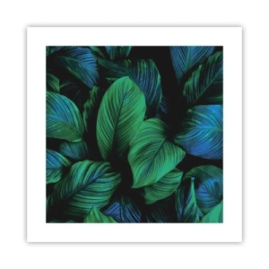 Poster - In der grünen Menge - 40x40 cm