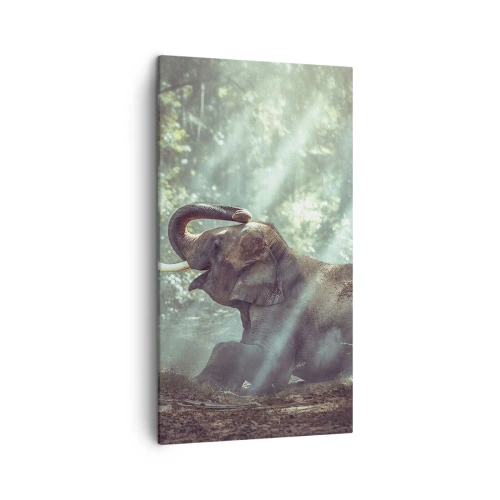 Bild auf Leinwand - Leinwandbild - Und hör dir das an... - 45x80 cm