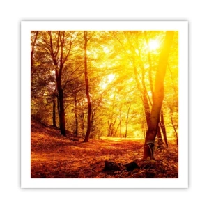 Poster - Auf die goldene Lichtung - 60x60 cm