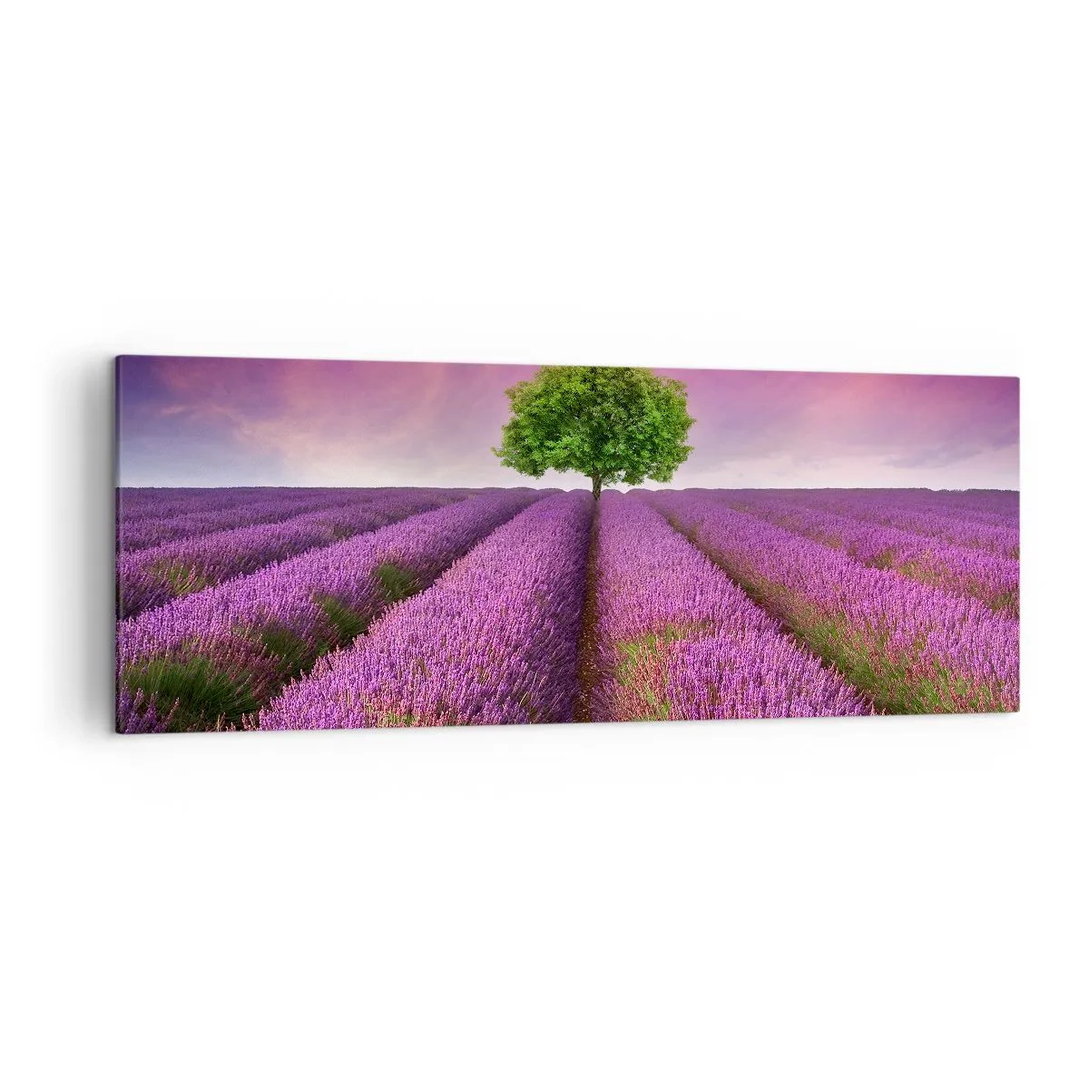 Bild auf Leinwand - Leinwandbild - Ein Lavendelfeld mit einem einsamen Baum und einem violetten Himmel - 140x50cm - Auf Lavendelfeldern - Moderne Wanddekoration für Wohnzimmer und Schlafzimmer ARTTOR