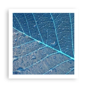 Poster - Leben in Blau - 60x60 cm