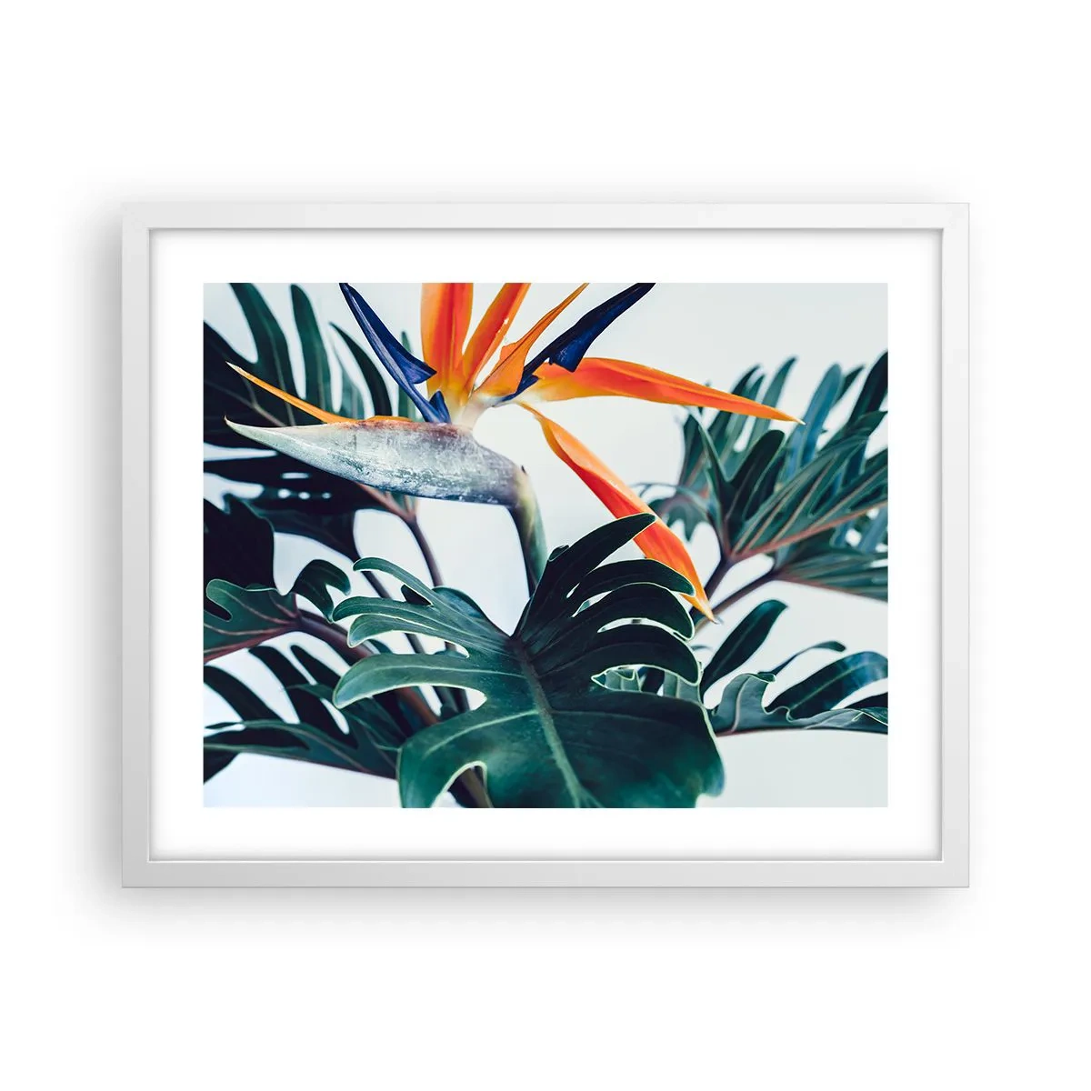 Poster in einem weißen Rahmen - Vogelbusch - 50x40 cm