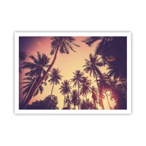 Poster - Palmen vor dem Himmel mit warmen Sonnenuntergangsfarben - 100x70cm - Tropische Variante - Moderne Wanddekoration für Wohnzimmer und Schlafzimmer ARTTOR