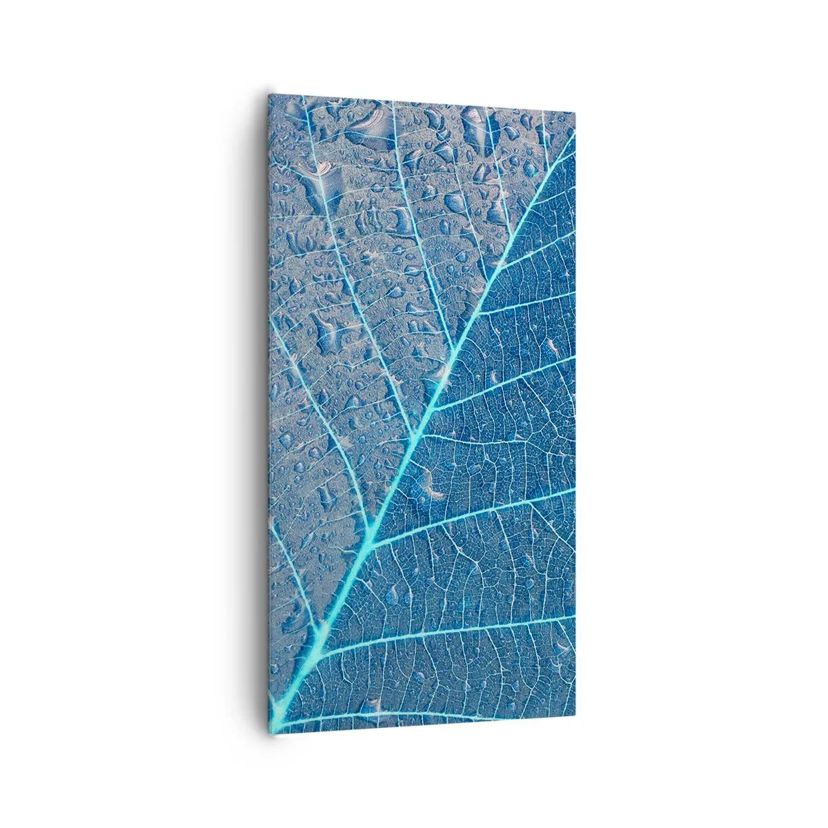 Bild auf Leinwand - Leinwandbild - Leben in Blau - 65x120 cm