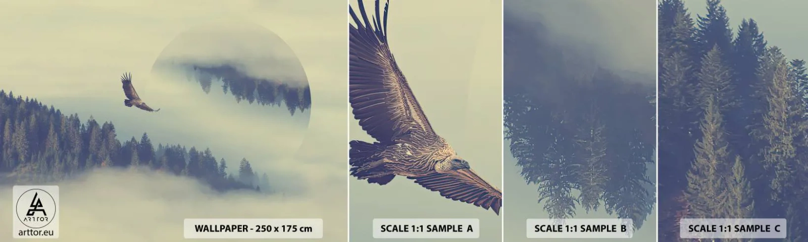 Fototapetenmuster Standard Eco - Ich habe den Schatten eines Adlers gesehen - Adler, Vogel, Wald - 100x30 cm