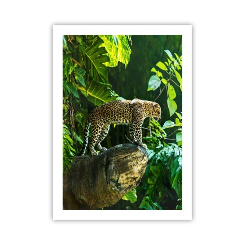 Poster - Ein Leopard steht auf einem Felsen in einem tropischen Wald - 50x70cm - Auf die Jagd? - Moderne Wanddekoration für Wohnzimmer und Schlafzimmer ARTTOR
