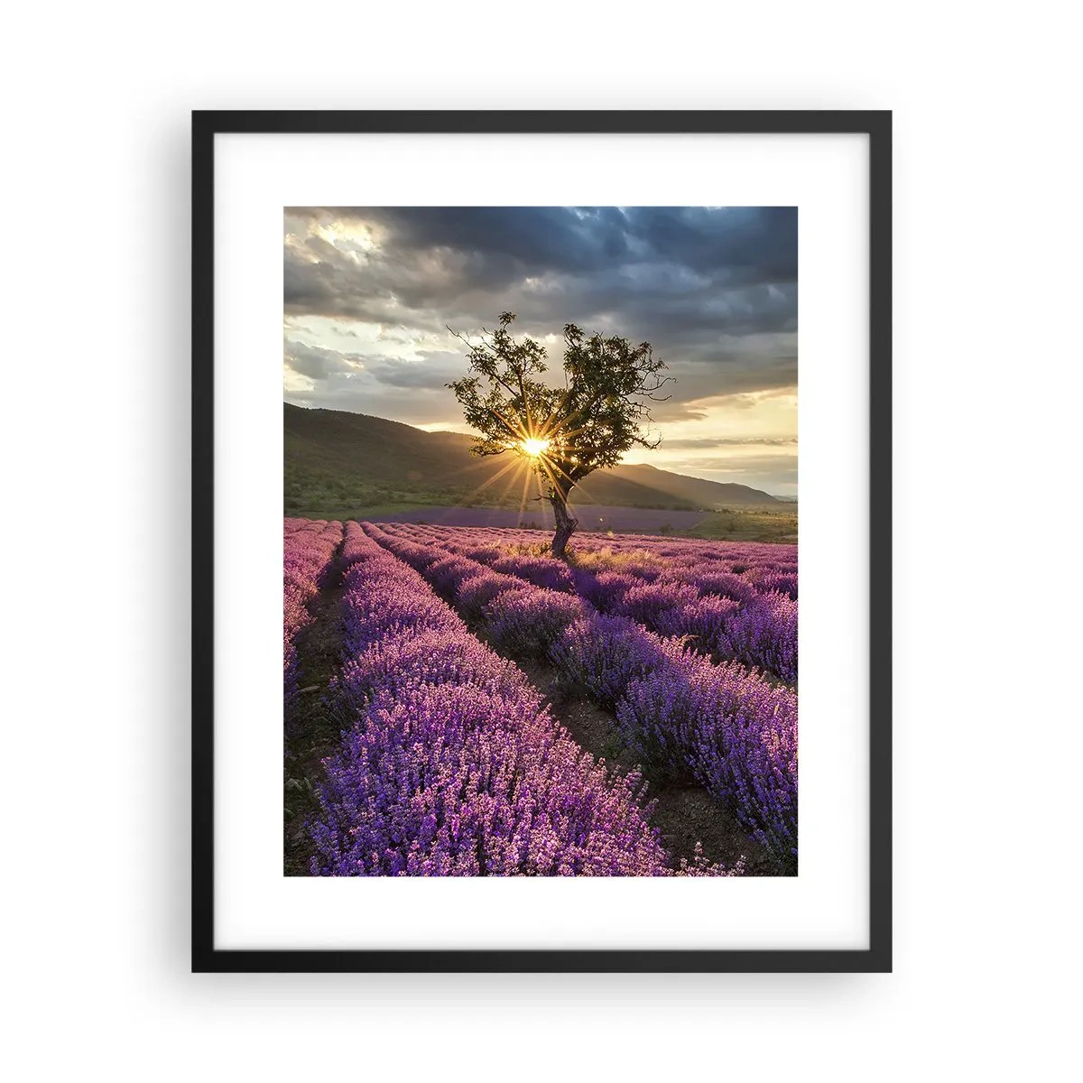 Poster in einem schwarzem Rahmen - Fliederfarbenes Aroma - 40x50 cm