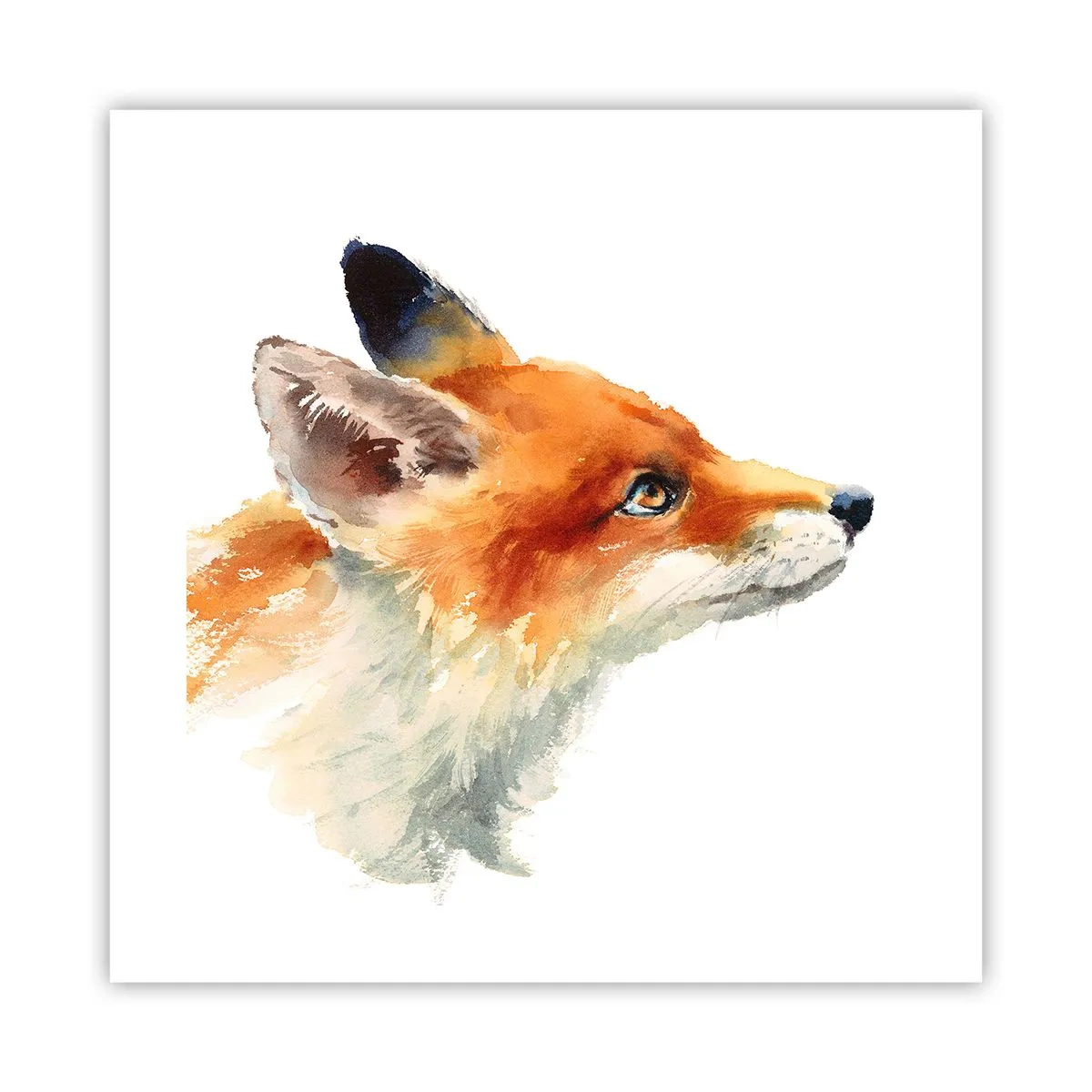 Poster - Man kann nie vorsichtig genug sein - 40x40 cm