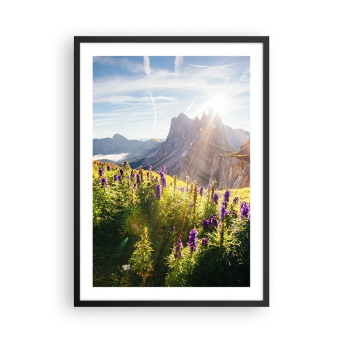 Poster in einem schwarzem Rahmen - Eine Berglandschaft mit einer Blumenwiese bei Sonnenaufgang - 50x70cm - Das geheime Leben der Kräuter - Moderne Wanddekoration für Wohnzimmer und Schlafzimmer ARTTOR