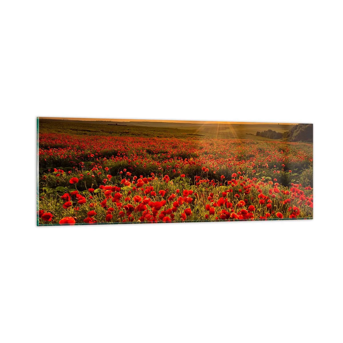 Glasbild - Bild auf glas - Unter den Wellen raschelnder Wiesen, unter den Blumen der Flut - 90x30 cm