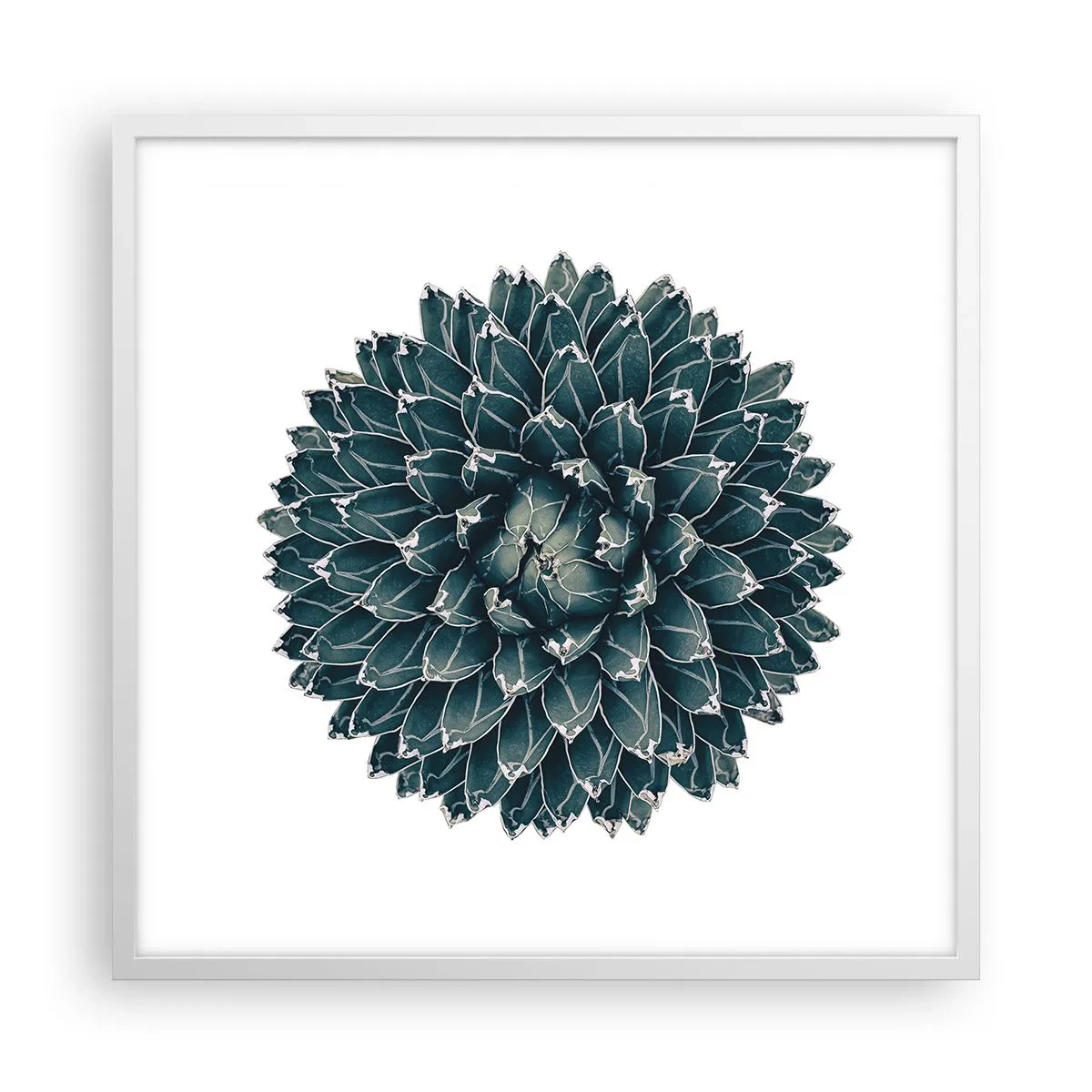 Poster in einem weißen Rahmen - Stern der Wüste - 60x60 cm