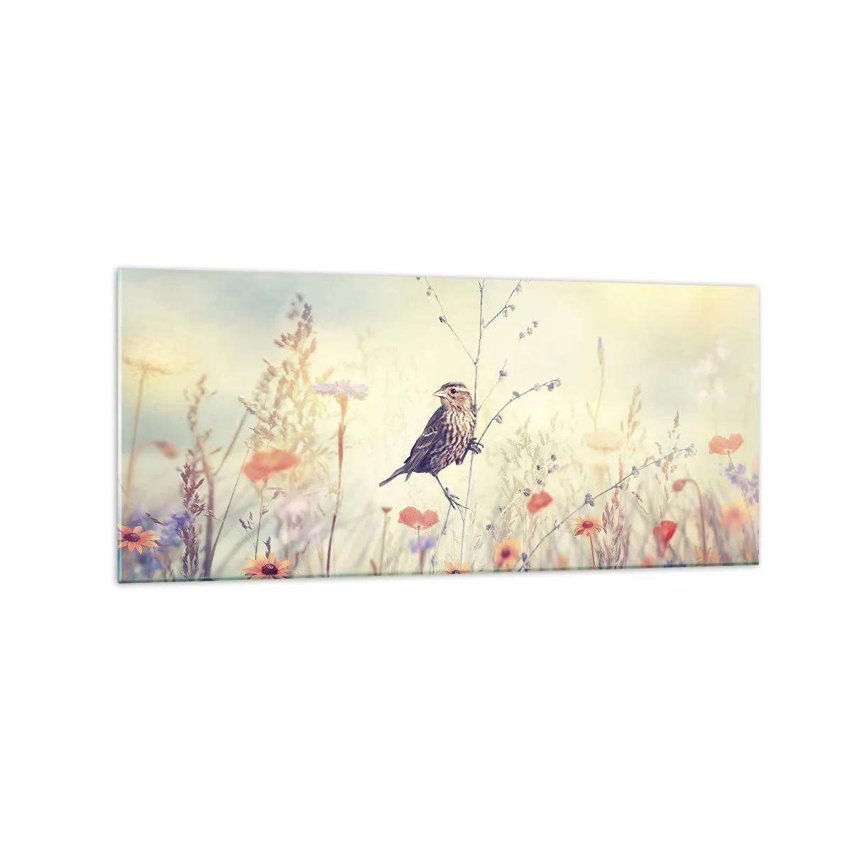 Glasbild - Bild auf glas - Ein Vogel vor dem Hintergrund einer bunten Wiese in Pastellfarben - 120x50cm - Vogelporträt mit einer Wiese im Hintergrund - Moderne Wanddekoration für Wohnzimmer und Schlafzimmer ARTTOR