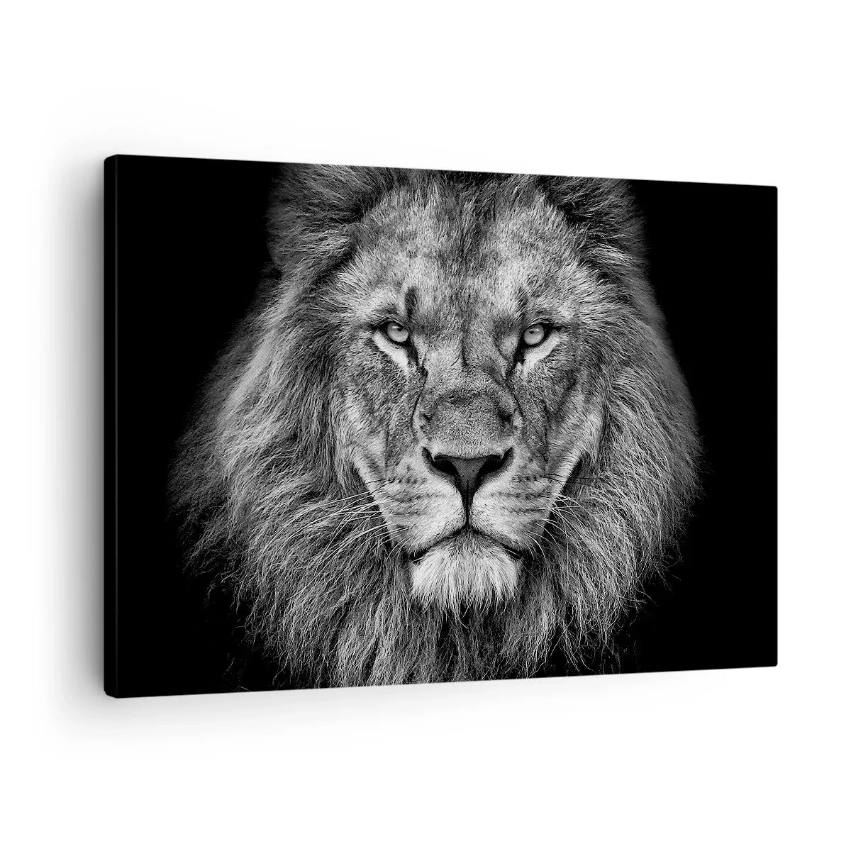 Bild auf Leinwand - Leinwandbild - Porträt eines majestätischen Löwen in Schwarz und Weiß - 70x50cm - Im Krönungsgewand - Moderne Wanddekoration für Wohnzimmer und Schlafzimmer ARTTOR