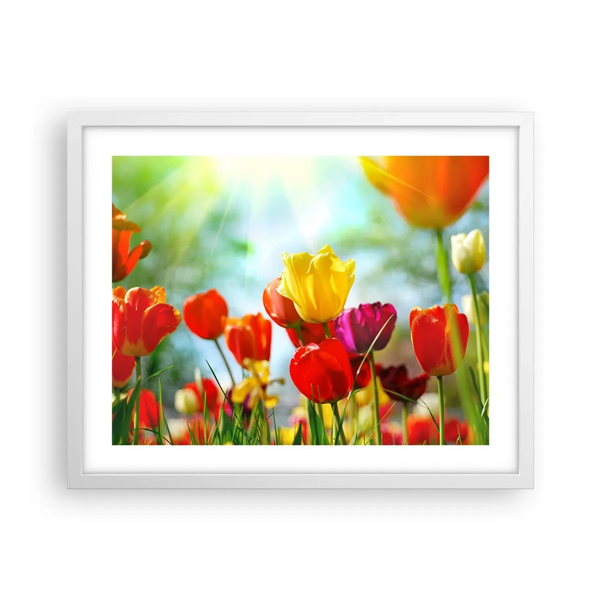 Poster in einem weißen Rahmen - Alle Farben der Sonne - 50x40 cm