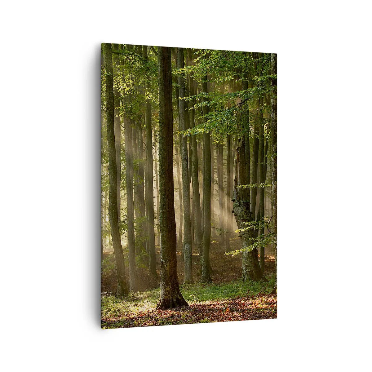 Bild auf Leinwand - Leinwandbild - Sonnenstrahlen dringen durch die Bäume im Wald - 70x100cm - Strahlend an einem Frühlingsmorgen - Moderne Wanddekoration für Wohnzimmer und Schlafzimmer ARTTOR