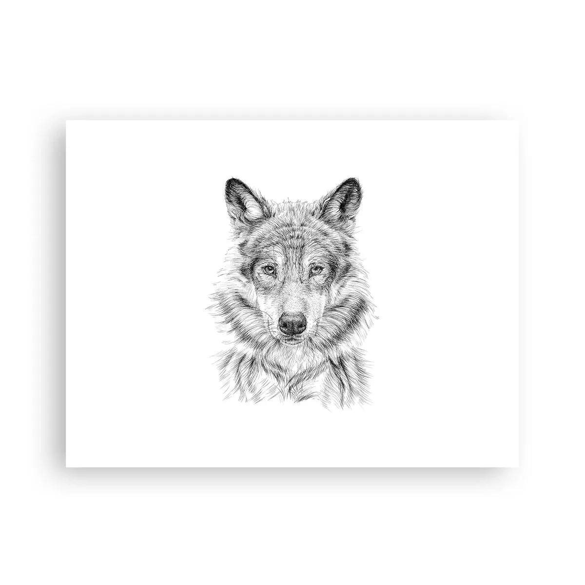 Poster - Ein geborener Anführer - 40x30 cm