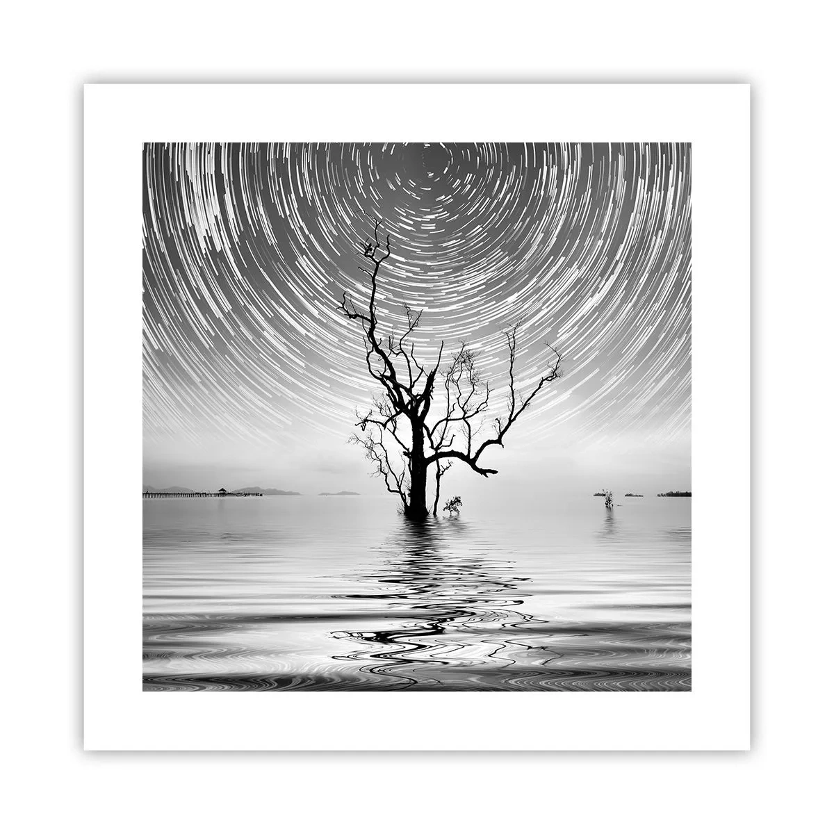 Poster - Eine Sinfonie der Natur - 40x40 cm